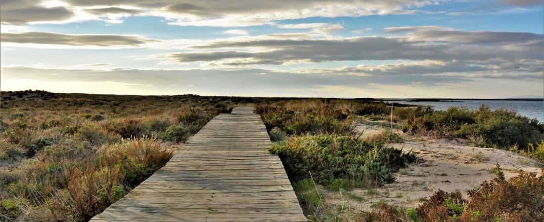 Discover the Ria Formosa: The Hidden Gem of the Algarve