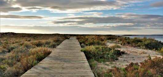 Discover the Ria Formosa: The Hidden Gem of the Algarve