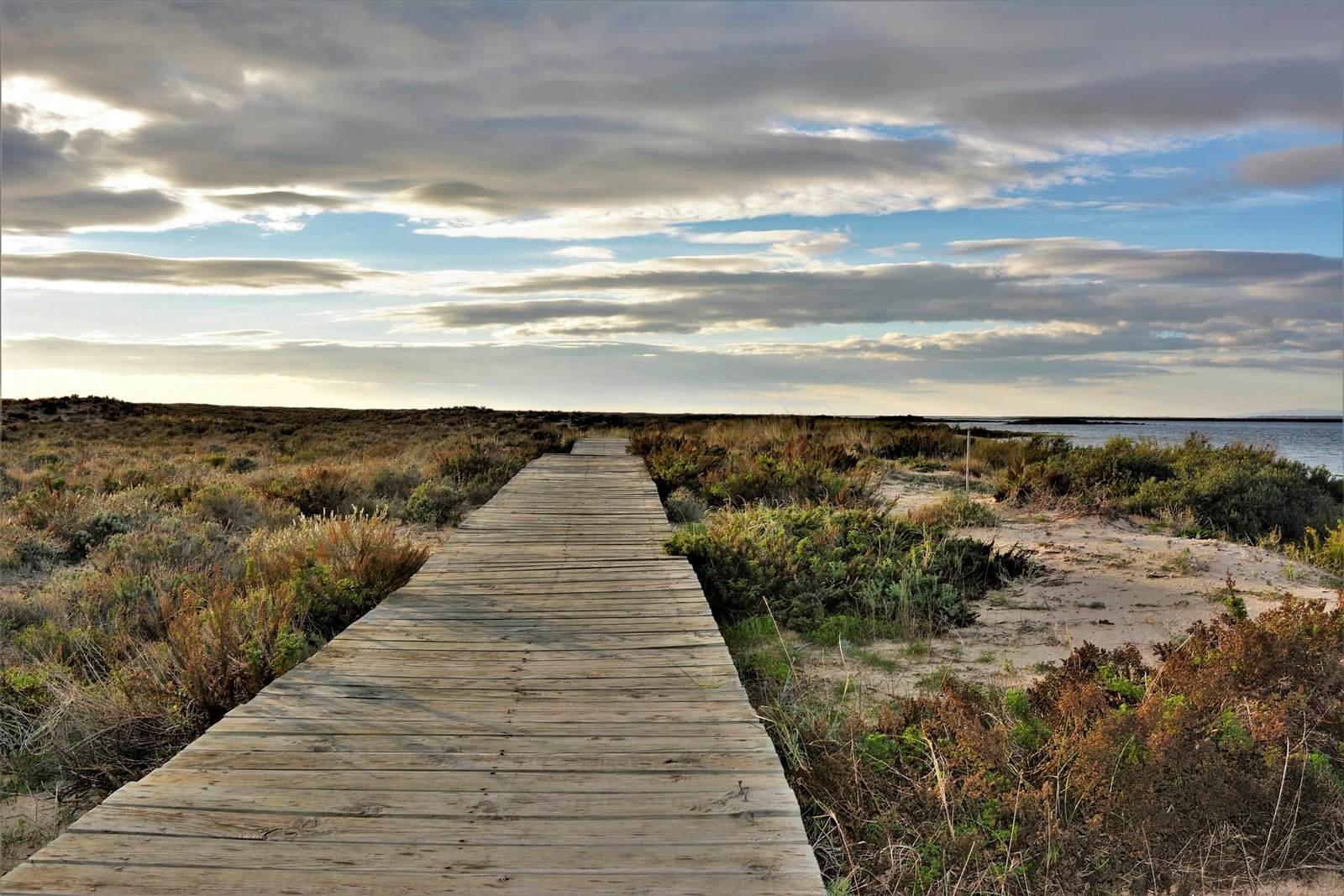 Discover the Ria Formosa: The Hidden Gem of the Algarve